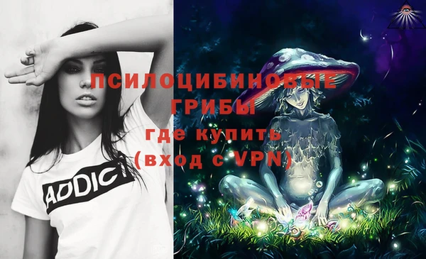 гашик Алзамай