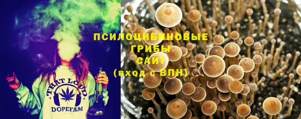 кокаин премиум Алексеевка