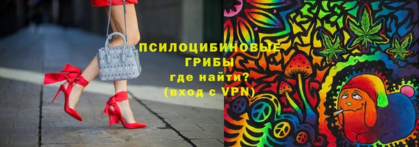 гашик Алзамай