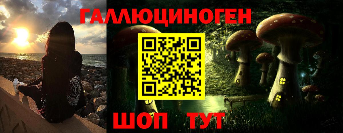 Псилоцибиновые грибы MAGIC MUSHROOMS  Вход с VPN  Дзержинский 
